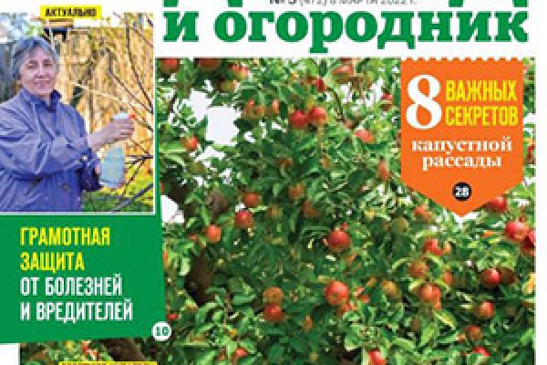 Прямая ссылка на кракен